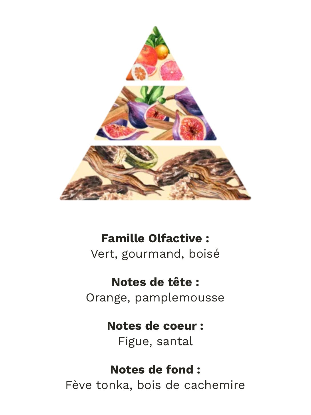 Figue et Santal 150g de cire