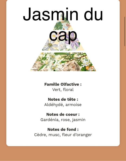 Jasmin du Cap 230g de cire