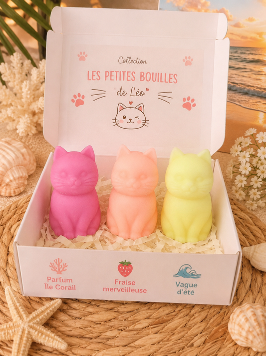 Les félins de Léo 😻 (3x10g)