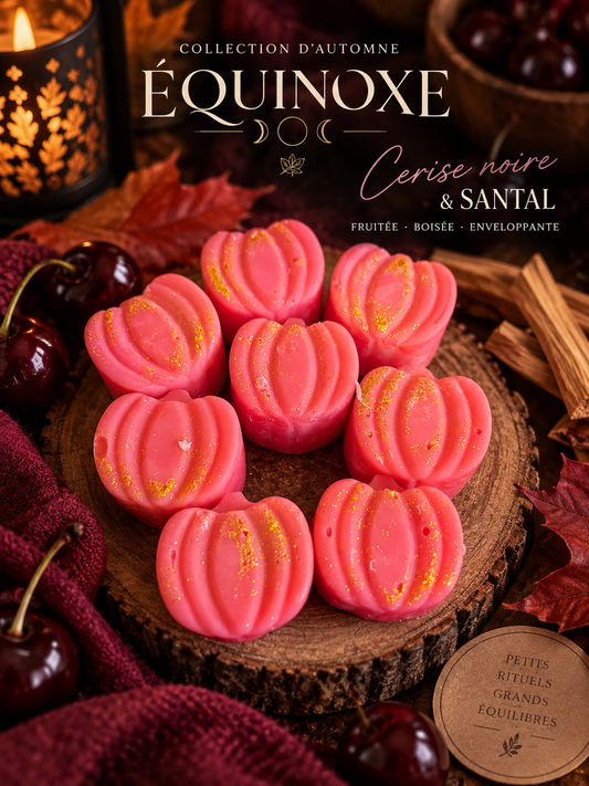 Fondant parfumé 15g