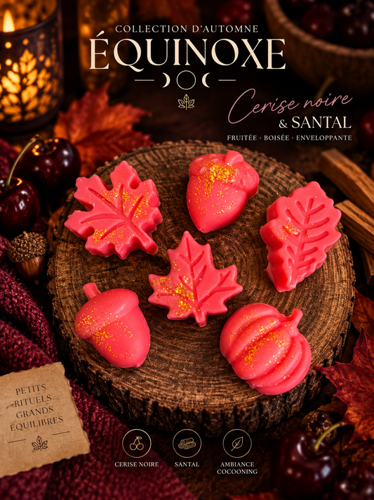 Fondant parfumé lot de 3 10g