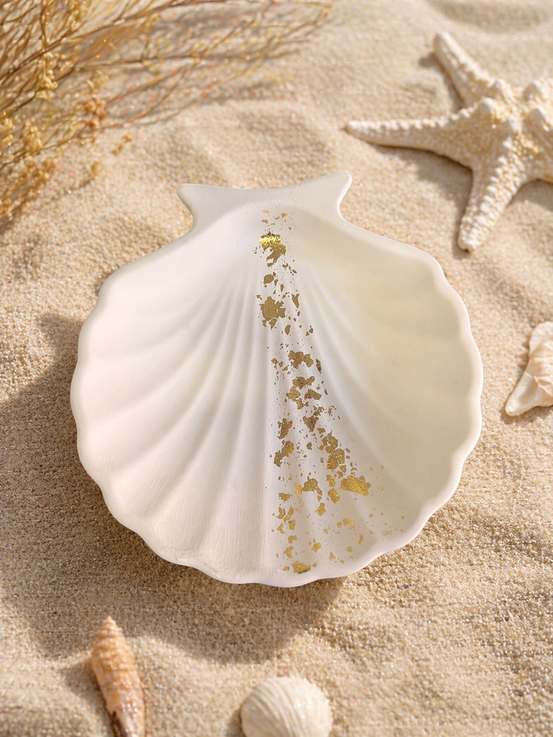 Coquillage décoratif