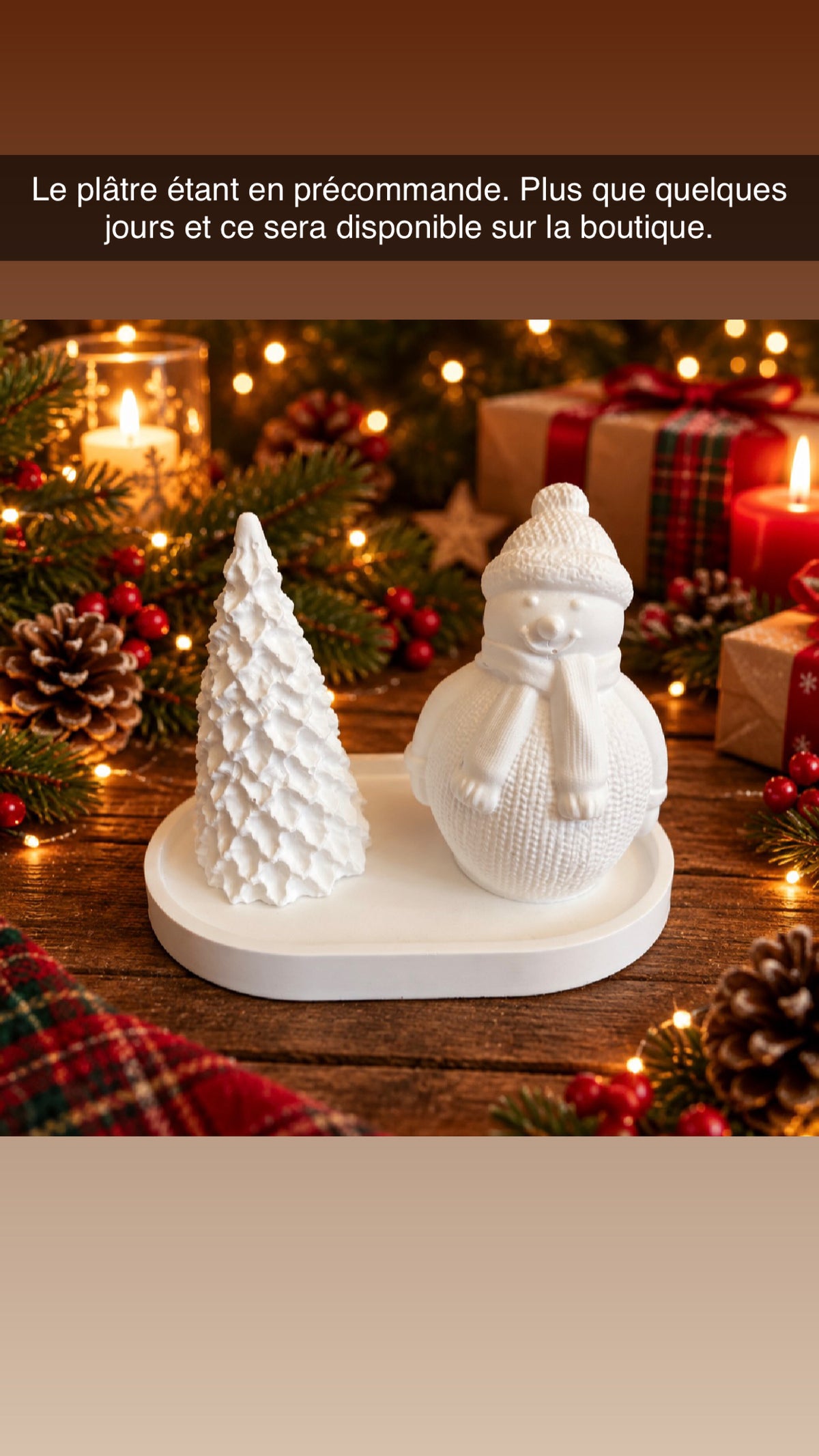 Déco en plâtre de moulage 🌲