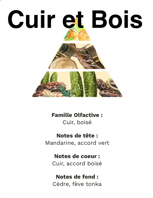 Cuir et Bois +/-100g de cire pot en plâtre de moulage