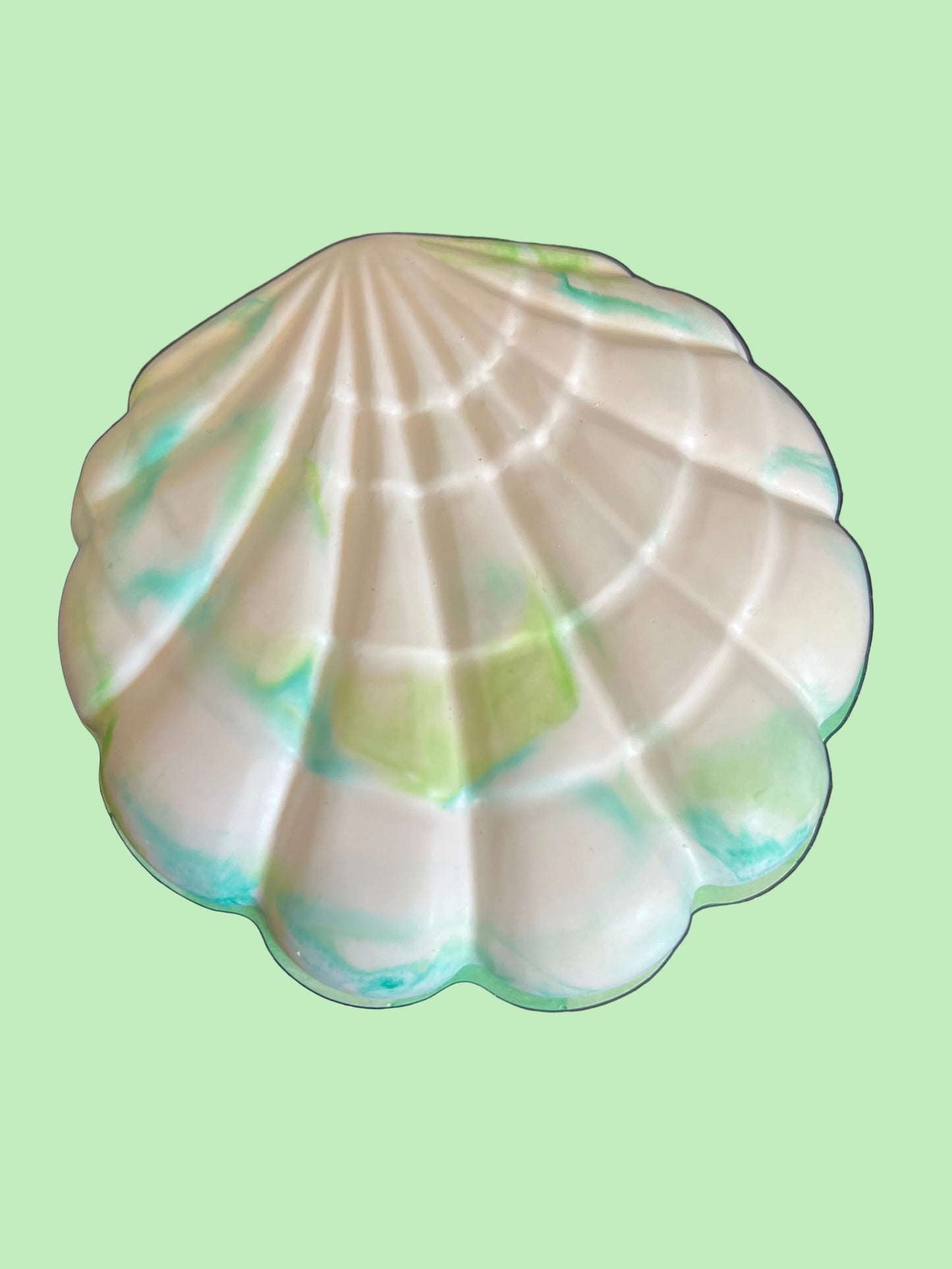 Boîte coquillages