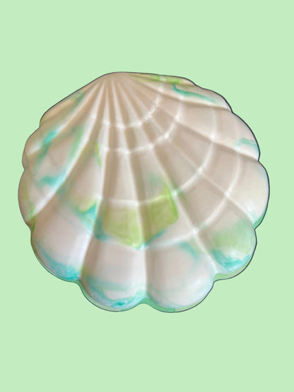 Boîte coquillages