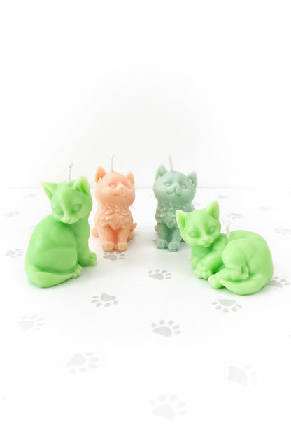 Les P’tis chat 🐈 de Léo