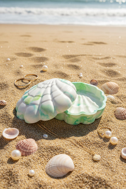 Boîte coquillages