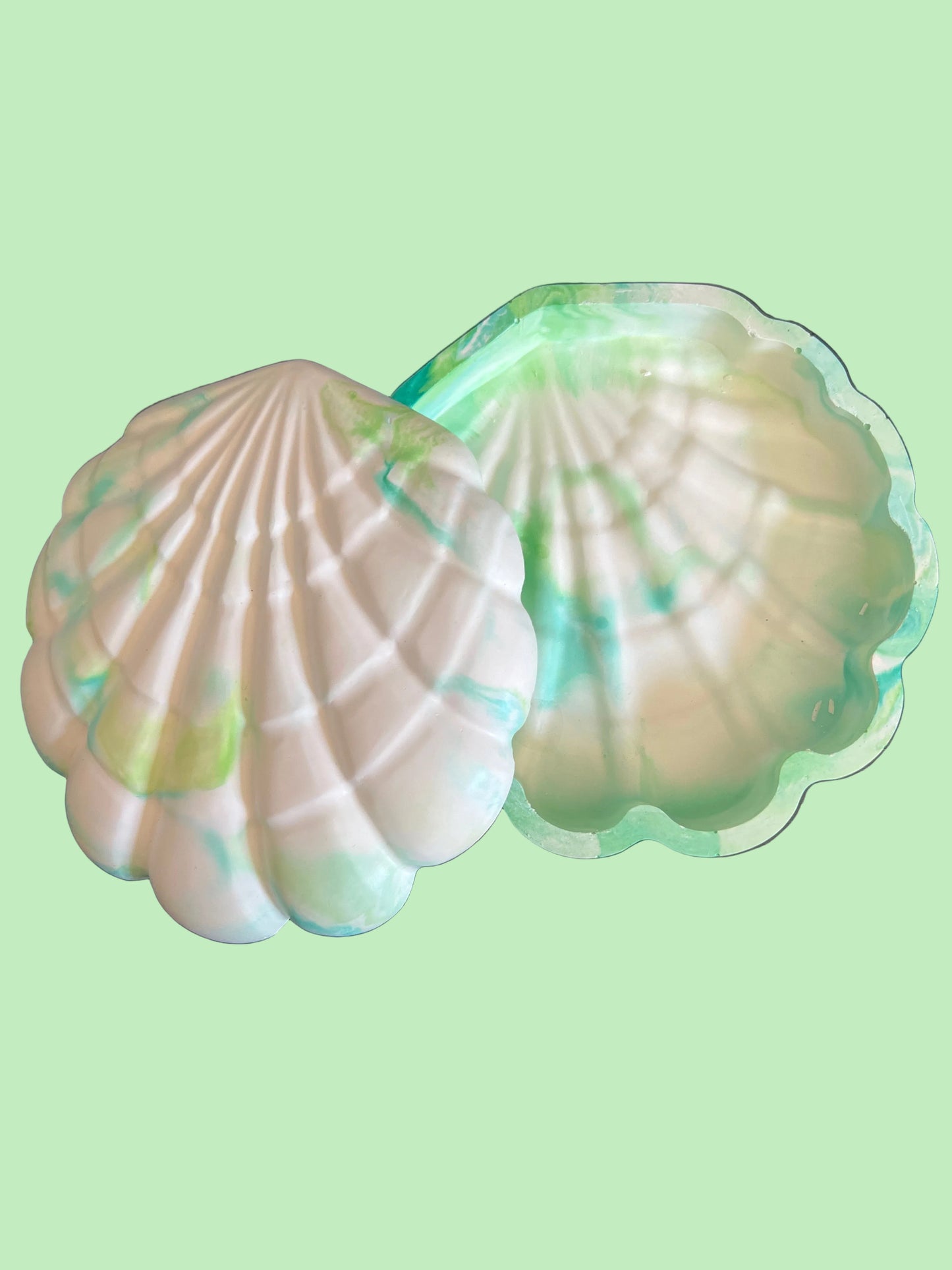Boîte coquillages