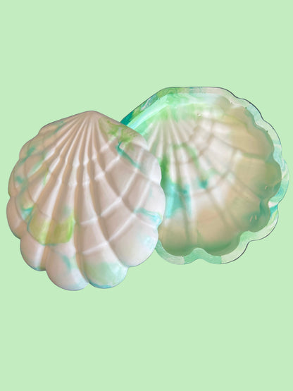 Boîte coquillages