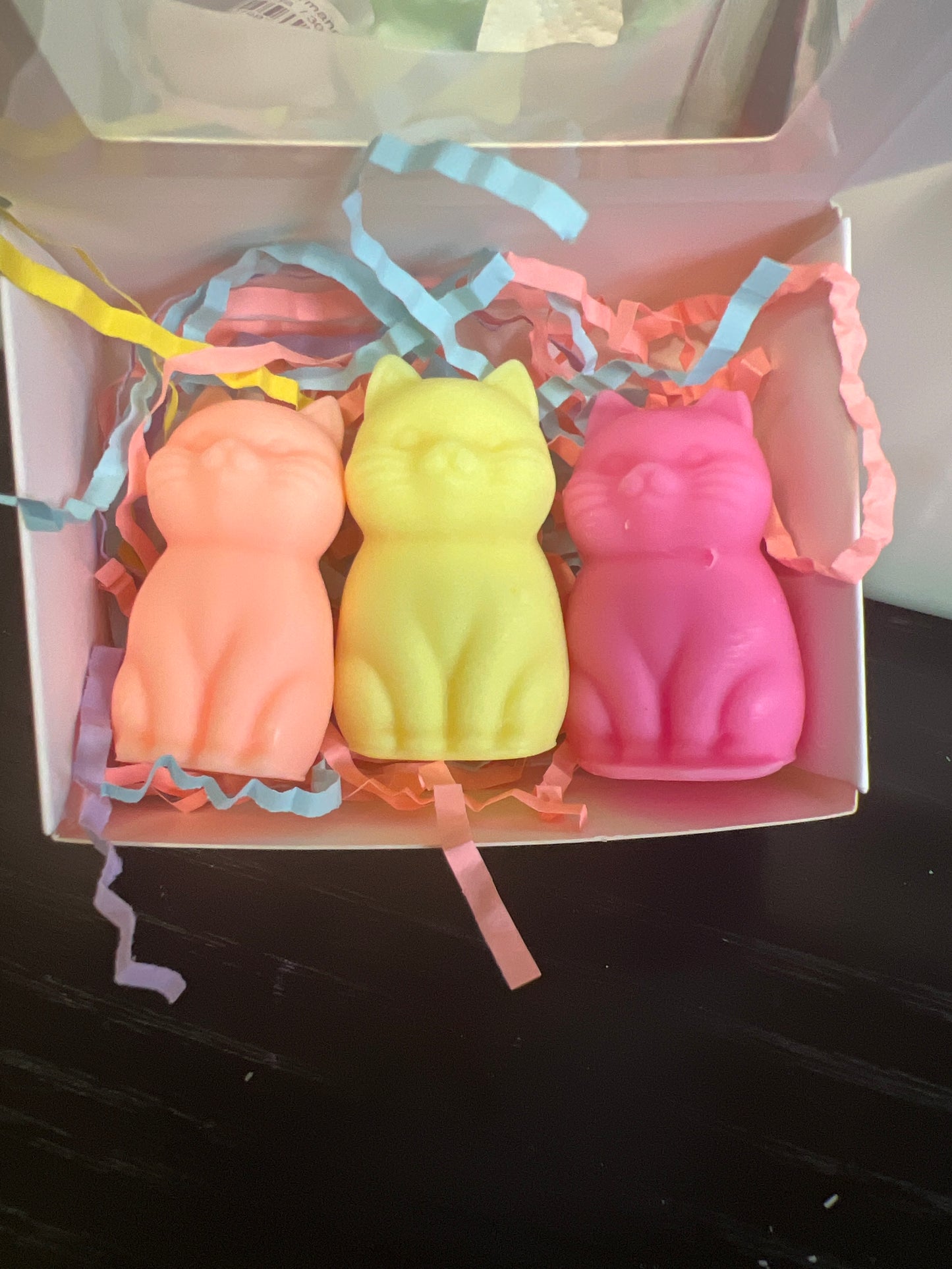 Les félins de Léo 😻 (3x10g)
