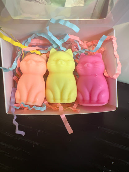 Les félins de Léo 😻 (3x10g)