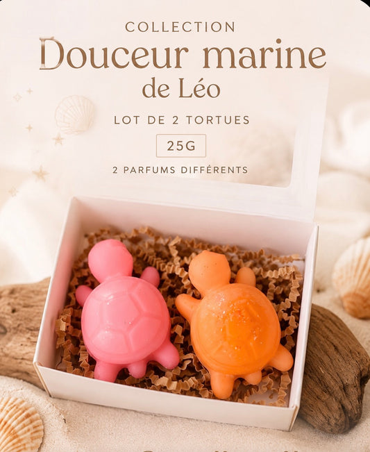 Douceur marine de Léo 🐢🌊