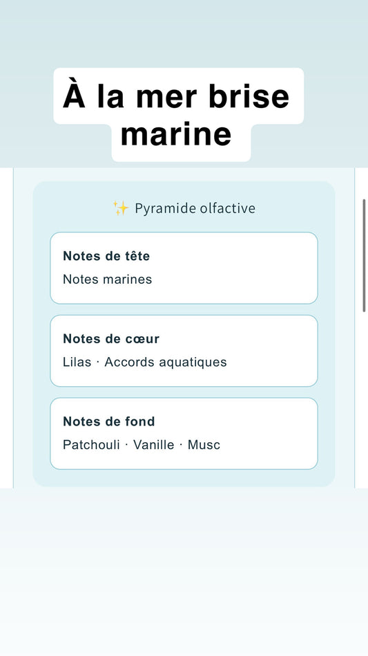 Diffuseur voiture 8ml à suspendre
