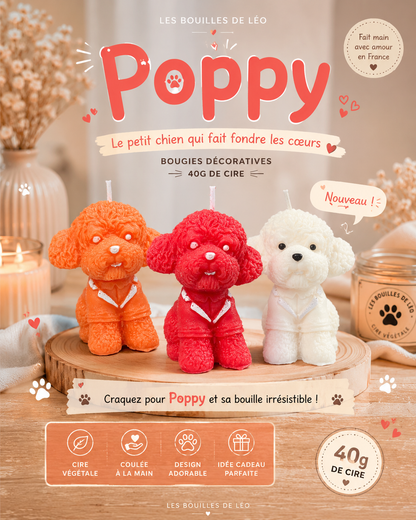 Bougie parfumé Poppy✨ 40g de cire