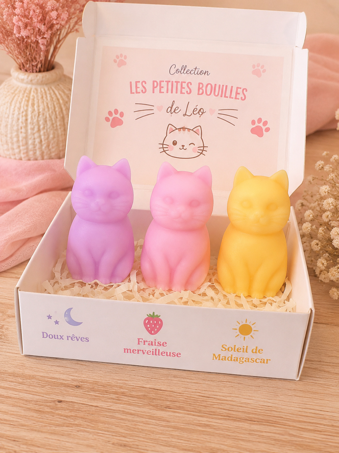 Les félins de Léo 😻 (3x10g)