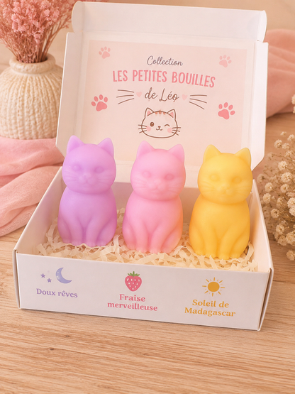 Les félins de Léo 😻 (3x10g)