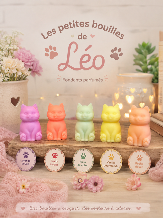 Les félins de Léo 🐈