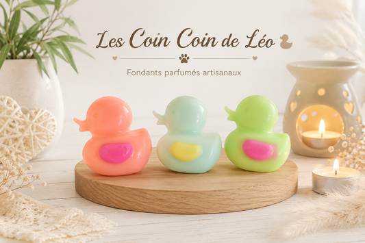 Les Coin Coin de Léo 🦆