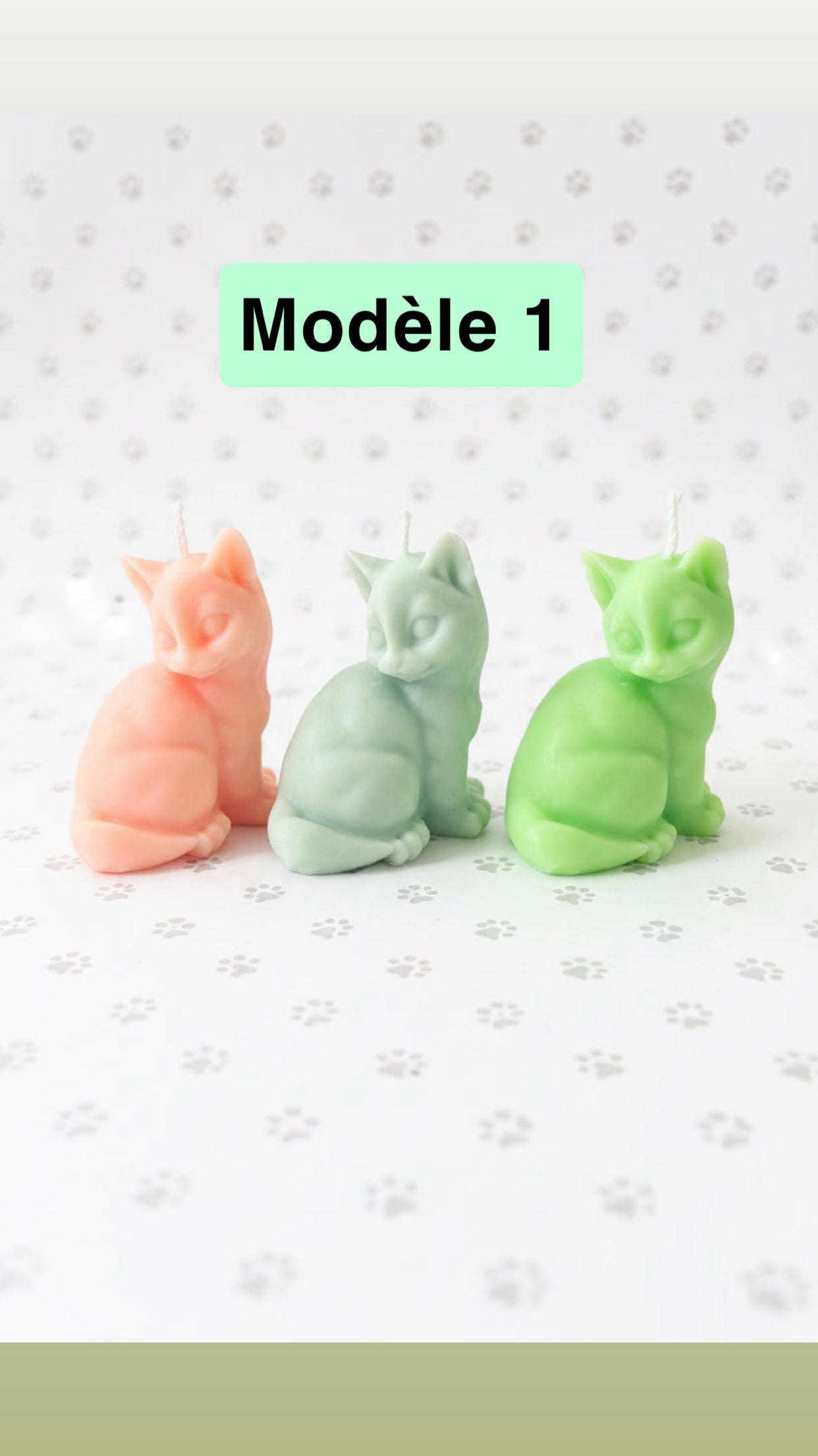 Les P’tis chat 🐈 de Léo