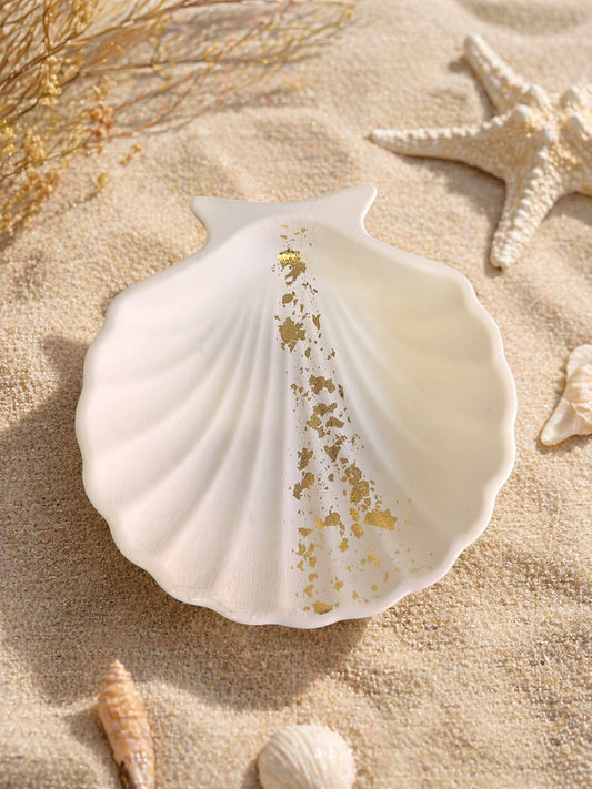 Coquillage décoratif